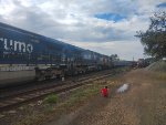 RUMO 8292